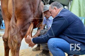 Los Llanos de Telde, en el día grande de sus fiestas patronales de 2019 (Foto Francisco Javier Santana)